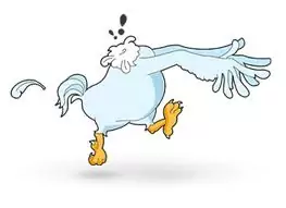 Coaching for inspiration - headless chicken
