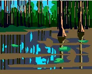 swamp